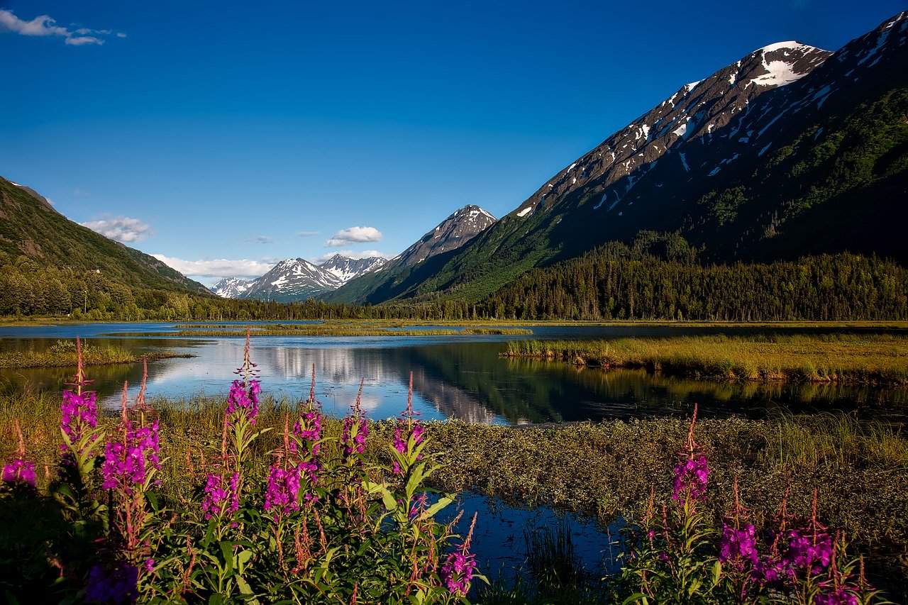 What To Know Before Camping Anywhere In A National Forest Outside Pulse